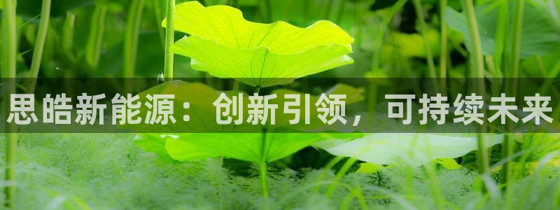 c新宝GG