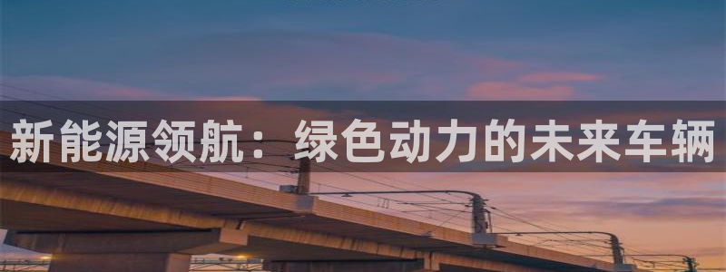 新宝gg登录网址