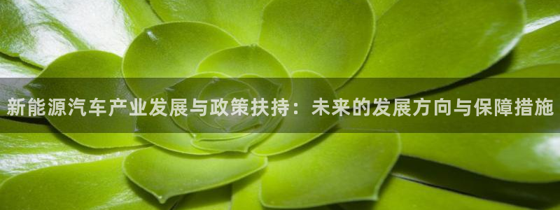 新宝gg手机登录官网
