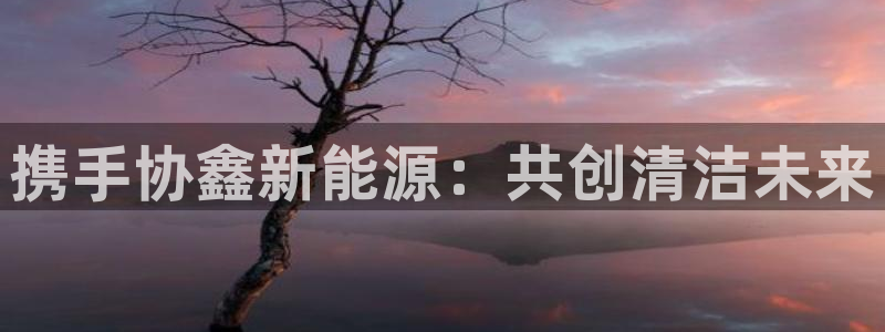 新宝gg在哪开户