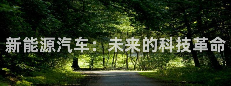 新宝GG用哪个网址登录