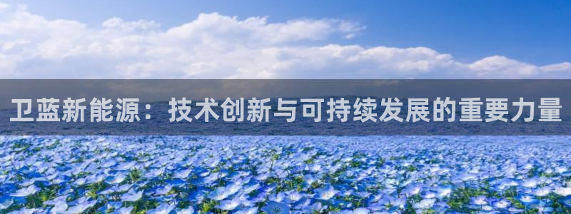 新宝gg主