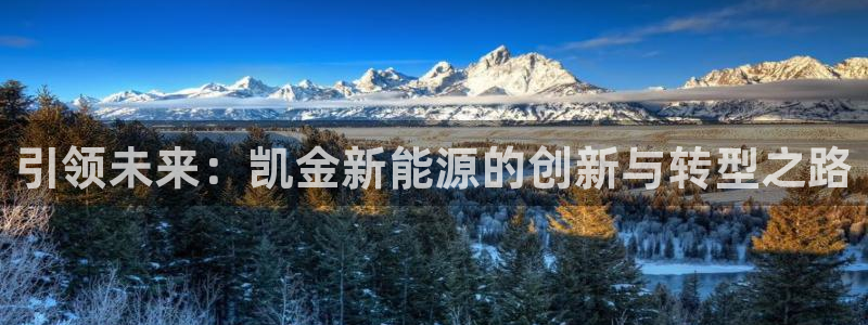 新宝gg赞颂63390:引领未来:凯金新能源的创新与转型之路