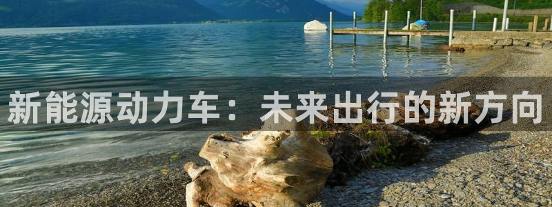 新宝gg帐号注册