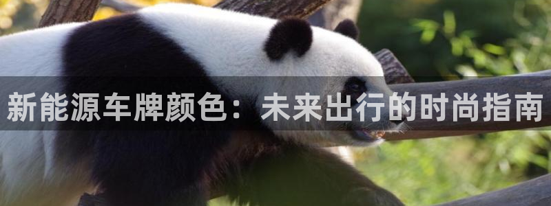 新宝gg网点:新能源车牌颜色:未来出行的时尚指南