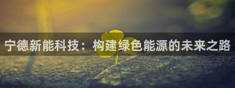 新宝gg咨询55312:宁德新能科技:构建绿色能源的未来之路