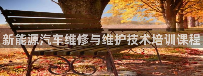 新宝gg账号:新能源汽车维修与维护技术培训课程