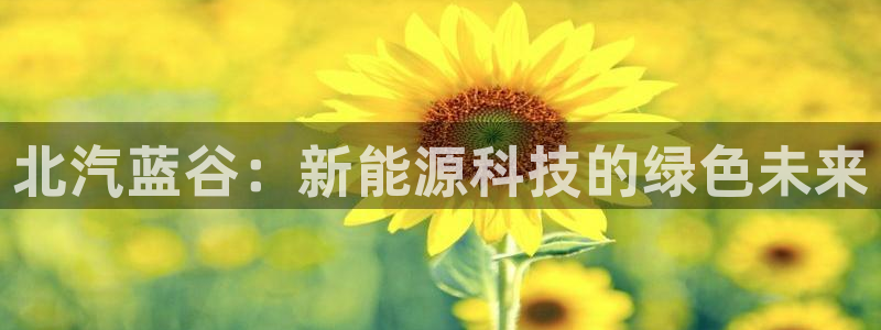 新宝gg 创:北汽蓝谷:新能源科技的绿色未来