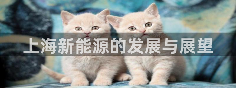 新宝gg龙腾:上海新能源的发展与展望