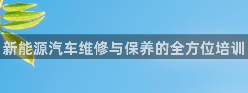 新宝GG亚洲:新能源汽车维修与保养的全方位培训