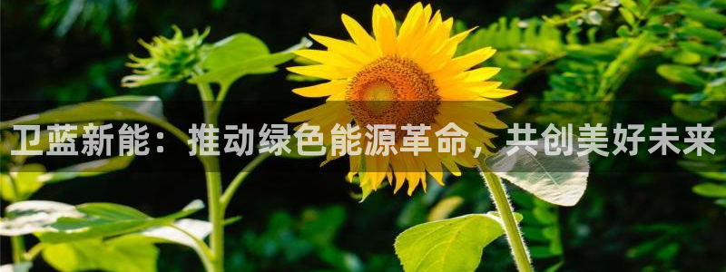 新宝gg龙虎规则