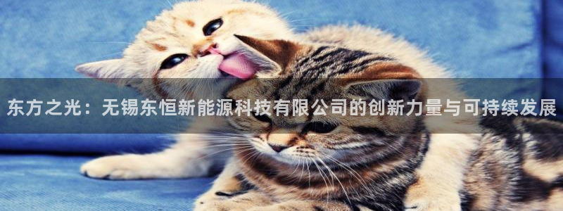 网站是新宝gg