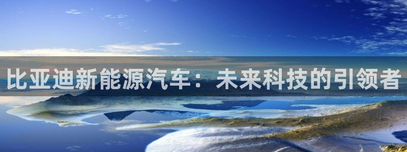 新宝gg软件