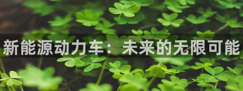 新宝gg 创造
