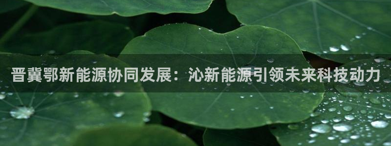 新宝奇迹GG：晋冀鄂新能源协同发展：沁新
