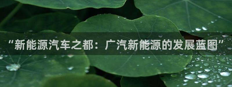 新宝gg帐号注册：“新能源汽车之都：广汽