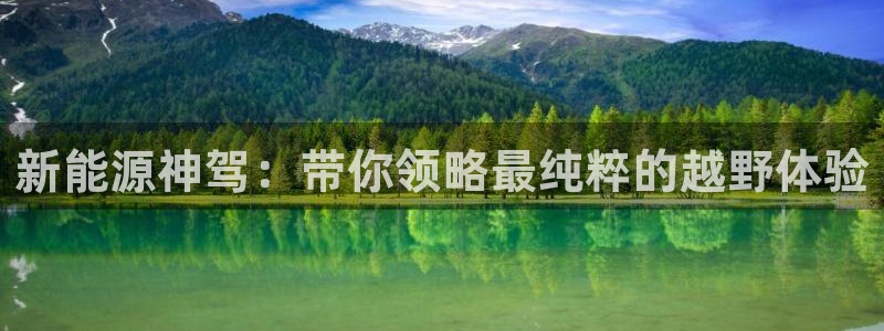 新宝gg平台登录 新宝GG：新能源神驾：