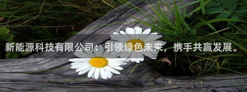 新宝亚洲GG：新能源科技有限公司：引领绿