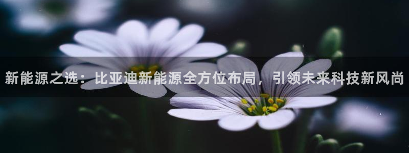 新宝gg入口网址