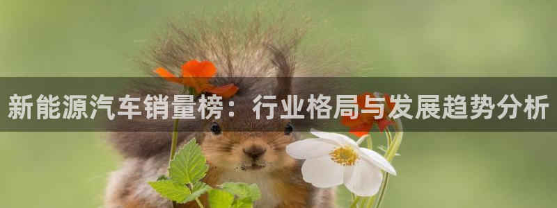 新宝gg创建奇迹