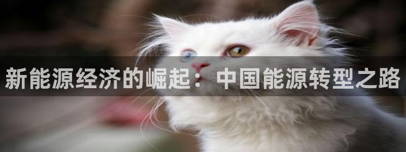 新宝gg干嘛：新能源经济的崛起：中国能源