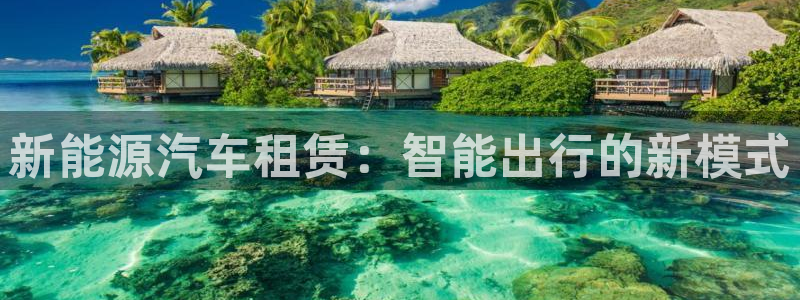 认准新宝gg：新能源汽车租赁：智能出行的
