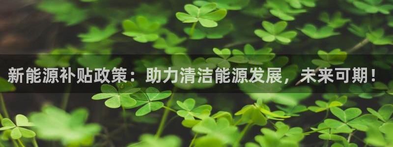 新宝GG娱乐下载：新能源补贴政策：助力清