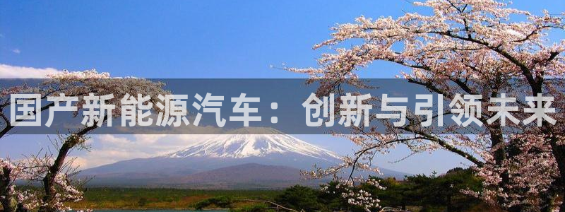 新宝gg网点