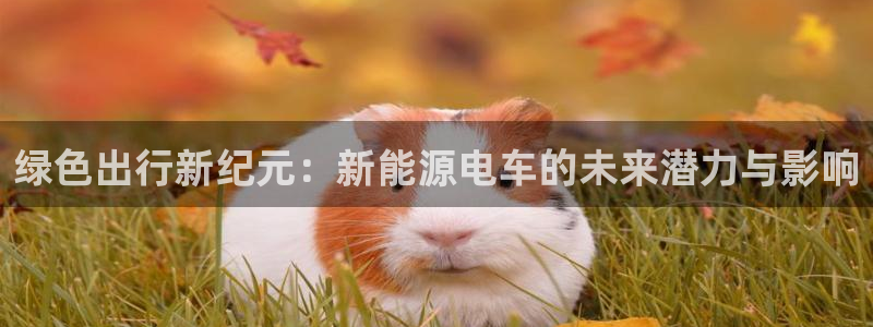 新宝GG上级：绿色出行新纪元：新能源电车