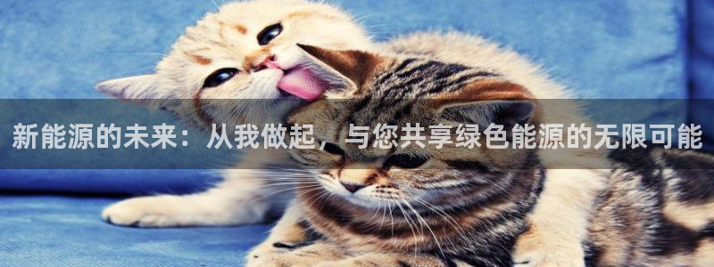 新宝gg咨询55312：新能源的未来：从