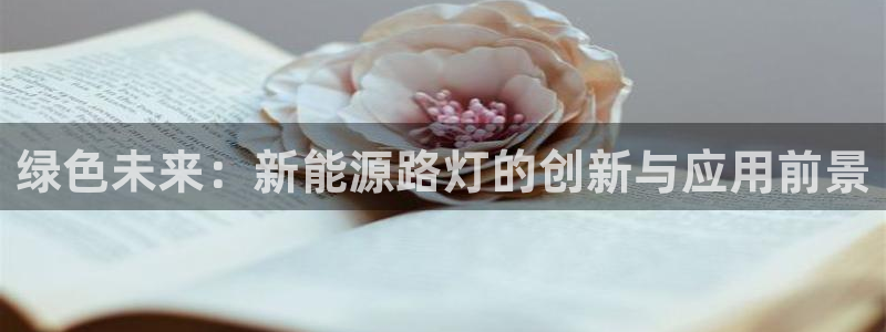 新宝gg什么：绿色未来：新能源路灯的创新