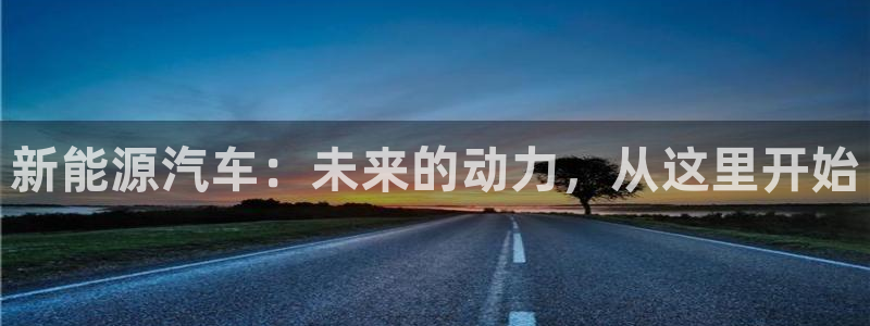 新宝GG握78778:新能源汽车:未来的动力,从这里开始