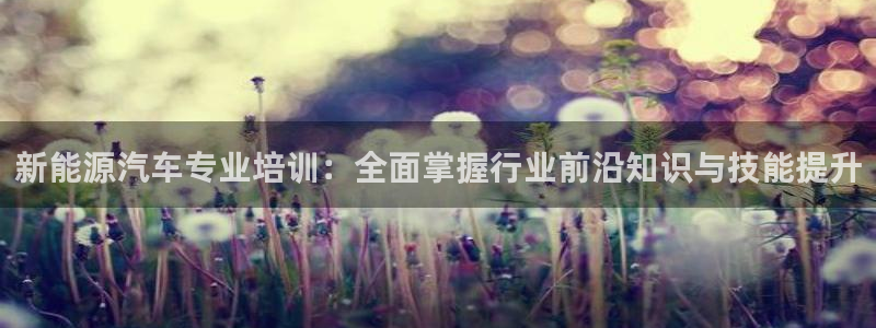 新宝gg挂机app:新能源汽车专业培训:全面掌握行业前沿知识