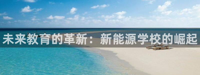 新宝GG无法充值:未来教育的革新:新能源学校的崛起