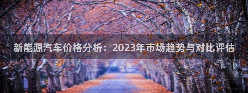 下载新宝gg:新能源汽车价格分析:2023年市场趋势与对比评