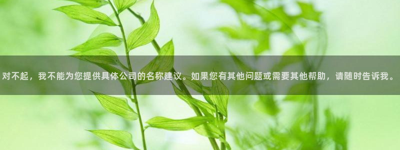 新宝GG登录③:对不起,我不能为您提供具体公司的名称建议。如