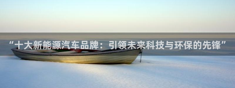 新宝gg赚钱:“十大新能源汽车品牌:引领未来科技与环保的先锋