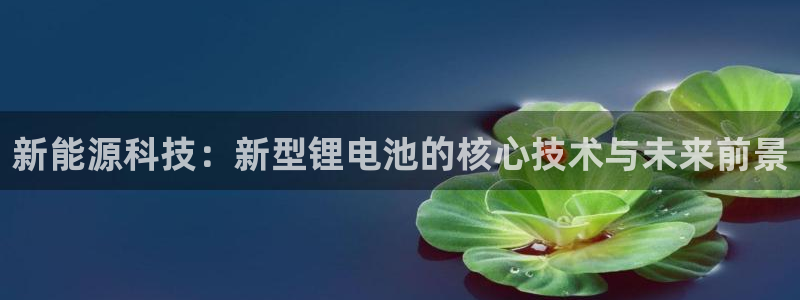 新宝gg登录宝:新能源科技:新型锂电池的核心技术与未来前景