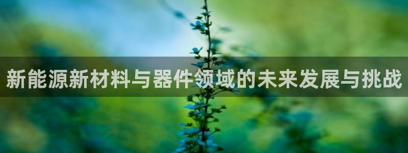 新宝 gg 登