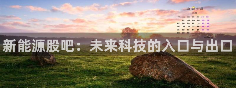 新宝GG速度:新能源股吧:未来科技的入口与出口