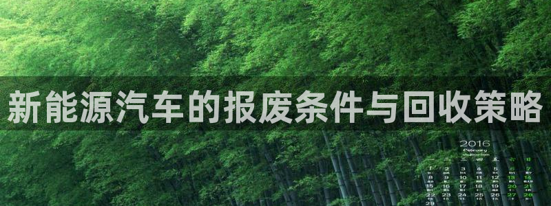 新宝gg 开户