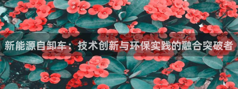 新宝gg申请账号