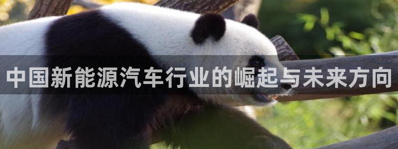 新宝gg总代理：中国新能源汽车行业的崛起
