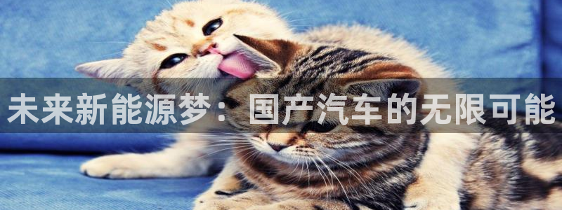 新宝奇迹GG5:未来新能源梦:国产汽车的无限可能