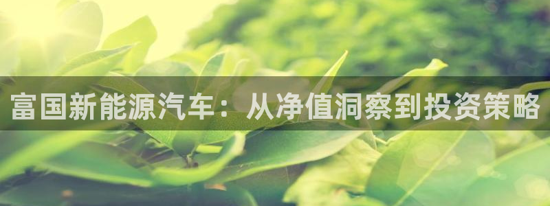新宝gg：富国新能源汽车：从净值洞察到投