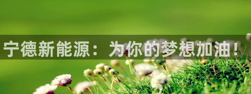 新宝gg龙虎规则：宁德新能源：为你的梦想