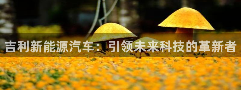 新宝gg 创造