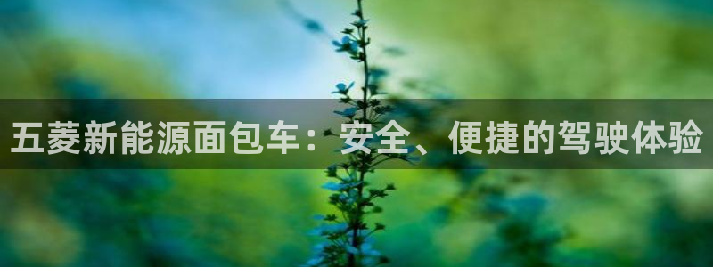 新宝 gg创造