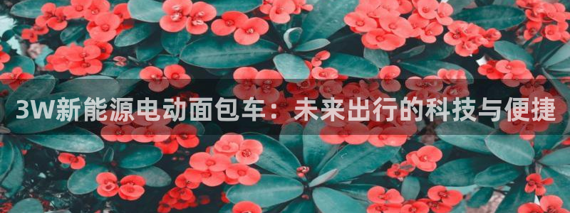 新宝奇迹GG