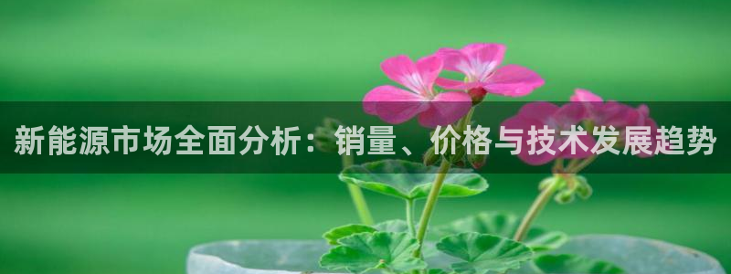 新宝gg图片：新能源市场全面分析：销量、
